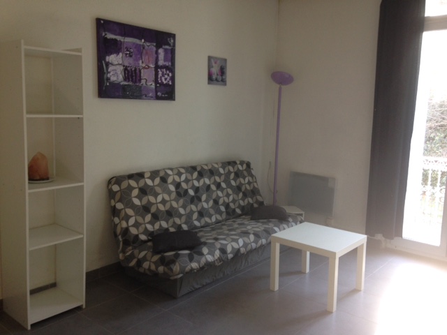 L'appartement T2 "L'ART AMANT" de 45 m2 - Lumineux